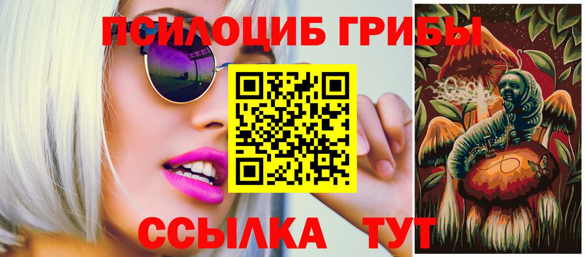 Псилоцибиновые грибы прущие грибы  Вход с VPN  Арзамас  Псилоцибиновые грибы мицелий 